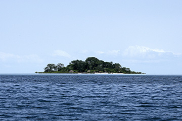 幾內(nèi)亞比紹比紹國際機(jī)場三字代碼(OXB),比紹國際機(jī)場(Osvaldo Vieiro International Airport)四字碼,幾內(nèi)亞比紹機(jī)場三字碼查詢