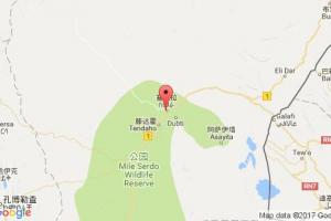 塞莫瑞港口查詢_semera港口代碼_埃塞俄比亞塞莫瑞港口代碼